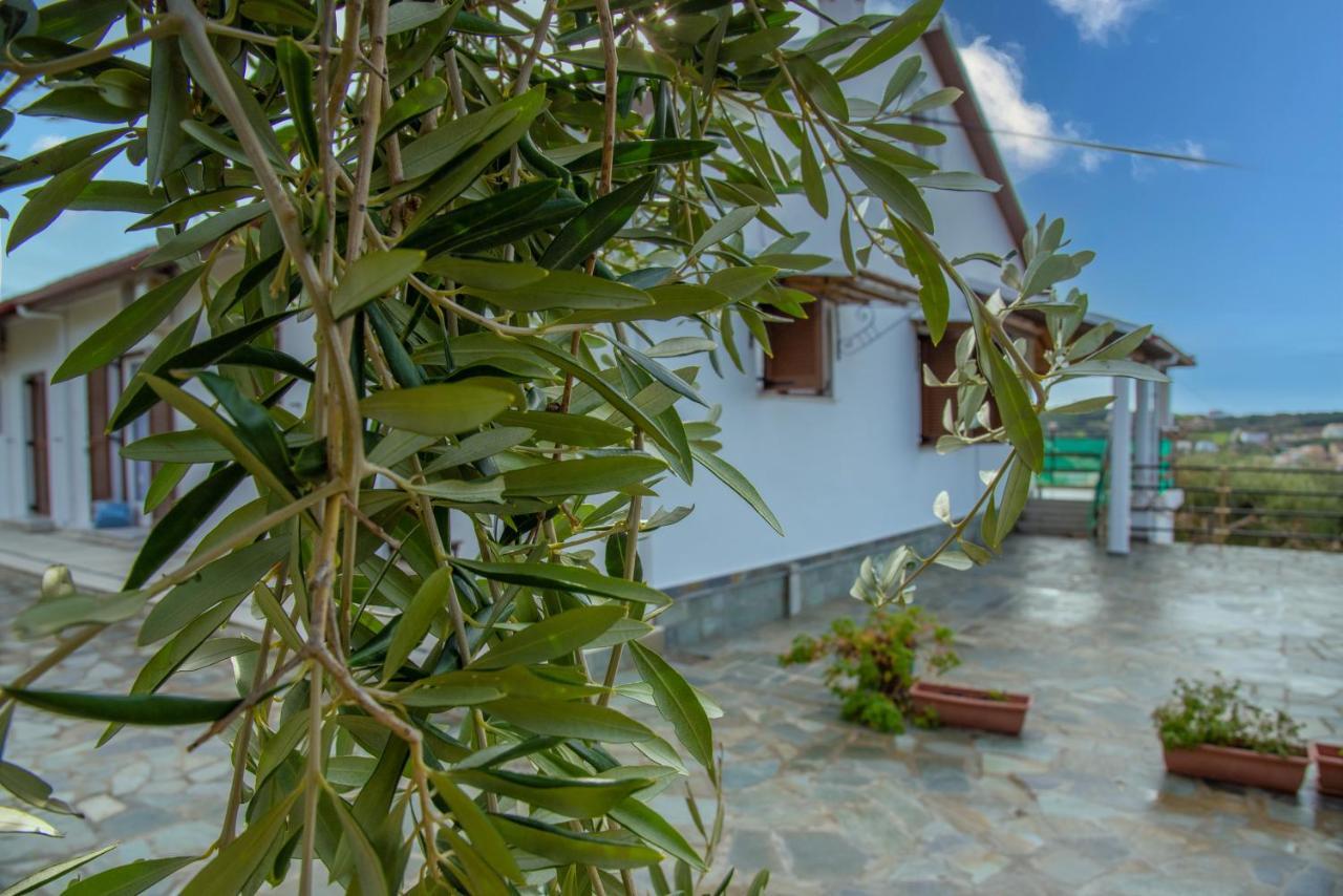 Eleonas Agios Stefanos Avliotes (Corfu)